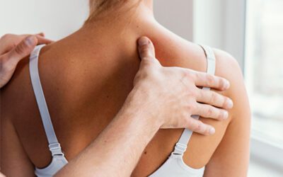 Fascia Disztorziós Modell